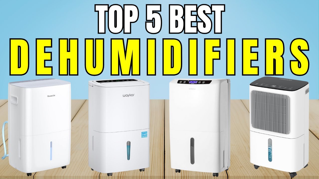 Top 5 Best Dehumidifiers – Must Watch Before You Buy One!