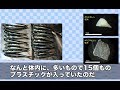【東京都】イワシの体内に15個もあるプラスチックゴミ | ソーシャルイノベーションニュース