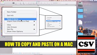How to COPY & PASTE On a Mac - Basic Tutorial | New