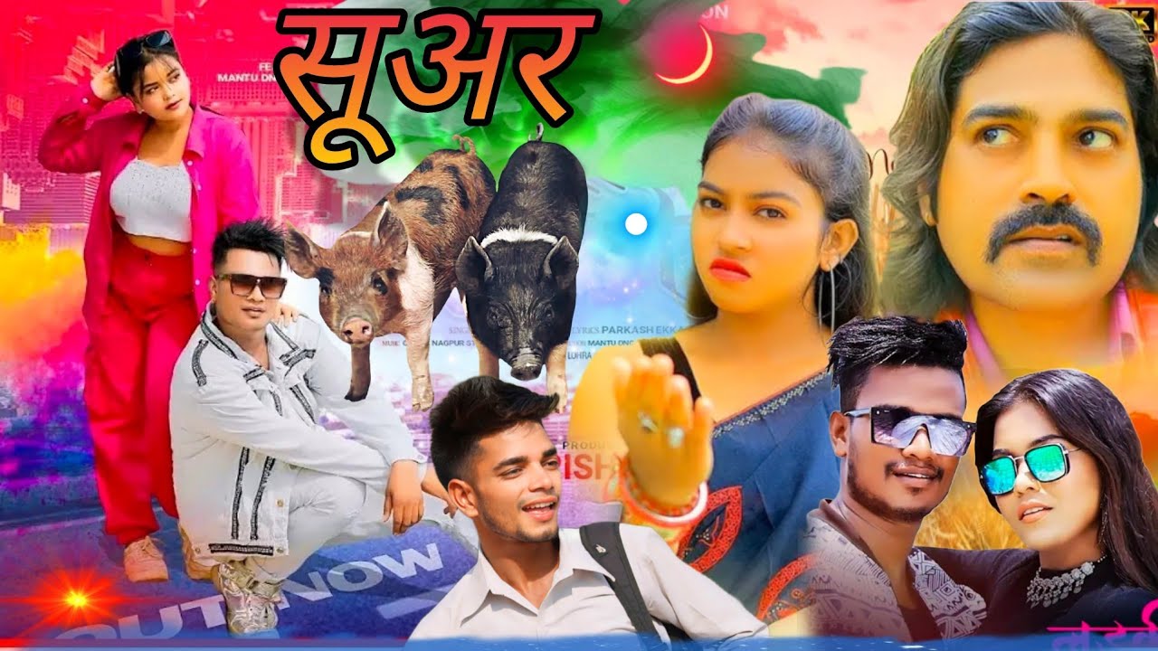 सूअर 😂 Shooting Vlog 🚩 Mr Baitha