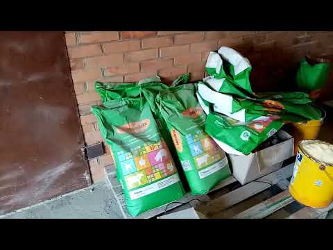 Поросята мого кума.ДОБАВКА.РАЦИОН