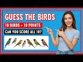 Guess The Birds Quiz 🐦 | Can You Identify All 10 Birds? |Bird Trivia Challenge #viral #quiz #video