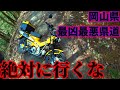 岡山県最凶最悪”険道”・県道455号に果敢に挑み、無事に散りました【HONDA　CT125】