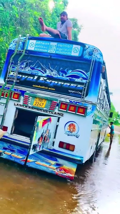 ✨️ Srilankan Bus Status ✨️ Sri lankan Bus Modified Bus Collection srilankan Wathspp status
