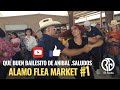 Un bailesito de anibal elrueda dance rgv dancegenre