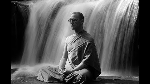 Following the Path of a Forest Monk | 2023 Interview with Ajahn Pasanno