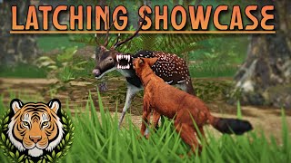 DHOLE LATCHING SHOWCASE | ROYAL RESERVE EARLY ACCESS IS OUT | ROYAL RESERVE