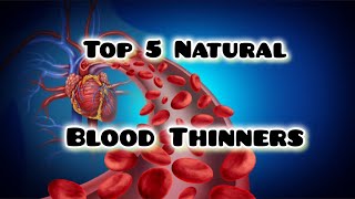 Top 5 Natural Blood Thinners to boost Your Circulation. By Dr.Zakia Sultana #naturalhealing#health