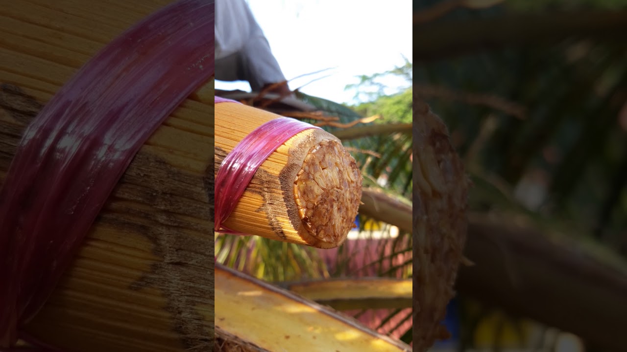 Membuat air tuak kelapa part2 