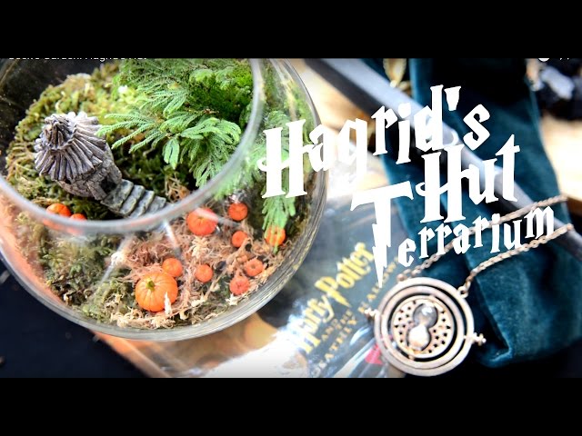 let's make Hagrid's Hut terrarium together 🌿 this is so cute! #wizar