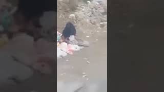 أمرأة يمنية تأكل من القمامة بعد 7 سنوات من عاصفة الحزم المدمرة..‏انا لله وانا اليه راجعون.
