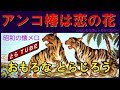 アンコ椿は恋の花