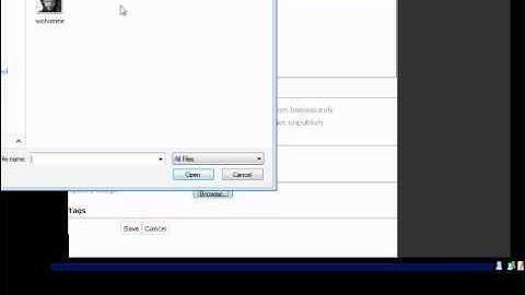 Using Picasa to Edit Pictures