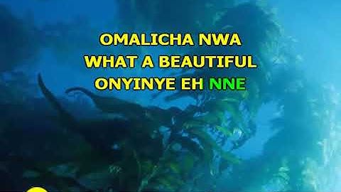 P-Square Ft. Rick Ross - Beautiful onyinye - VENO