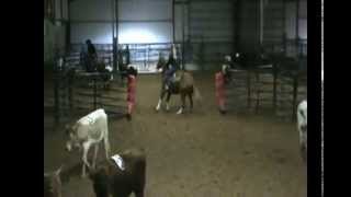 Cher The Glory - AQHA Dual Pep/Smart Little Lena/Haidas Little Pep Mare Ranch Sorting