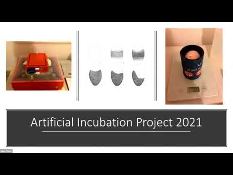 Yongergnow Malleefowl Centre – Stevi Filipowski