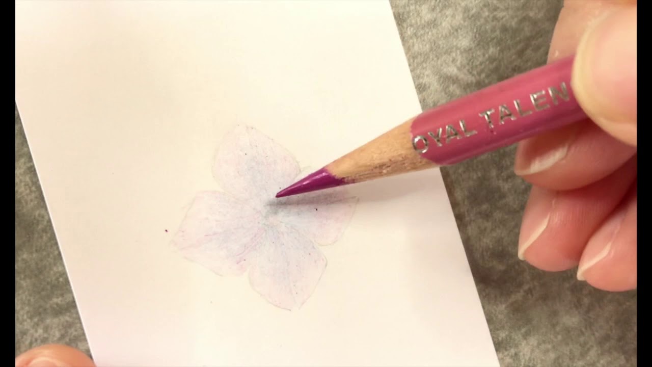 色鉛筆で紅色の紫陽花を描く Youtube