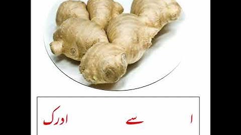 Bridge Course std 1st and 2nd Urdu medium