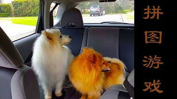 7 0 益智类：拼图游戏