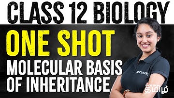 ONE SHOT: Class 12 | Molecular Basis of Inheritance | Xylem NEET Tamil