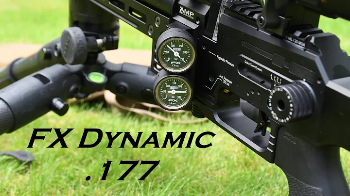 FX Dynamic Compact Takedown Black VP in .177, FULL REVIEW of this Ergonomic GEM