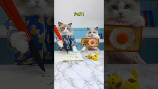 📱Puff crafts a clever phone stand ! See his DIY prowess in action! 🛠️💡#thatlittlepuff #funny #cat