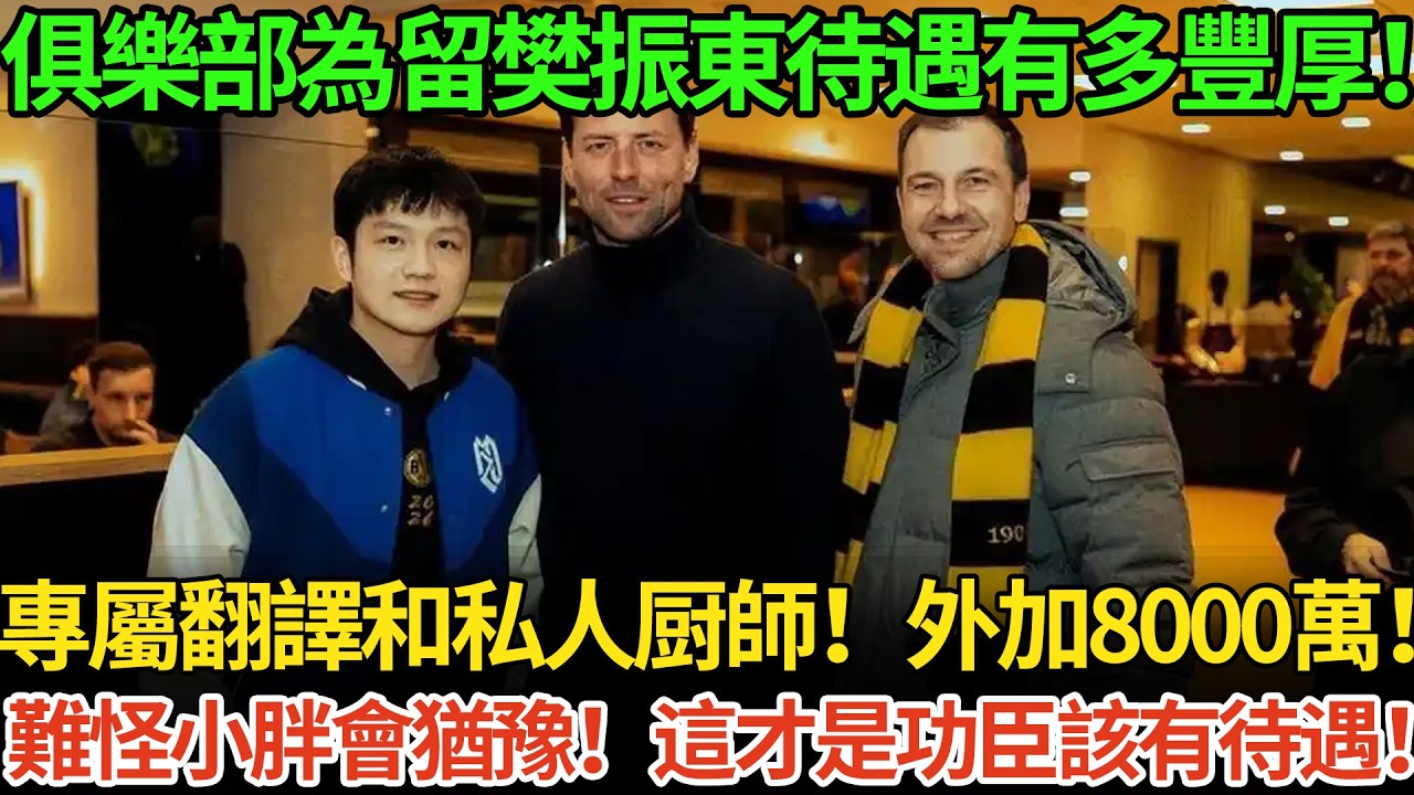 俱樂部為留樊振東待遇有多豐厚！專屬翻譯和私人厨師！外加8000萬！難怪小胖會猶豫！這才是功臣該有待遇！