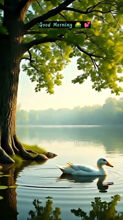 Selamat Pagi 🌹💕🥰 Status WhatsApp...#youtube #alam #celana pendek #selamatpagi ||