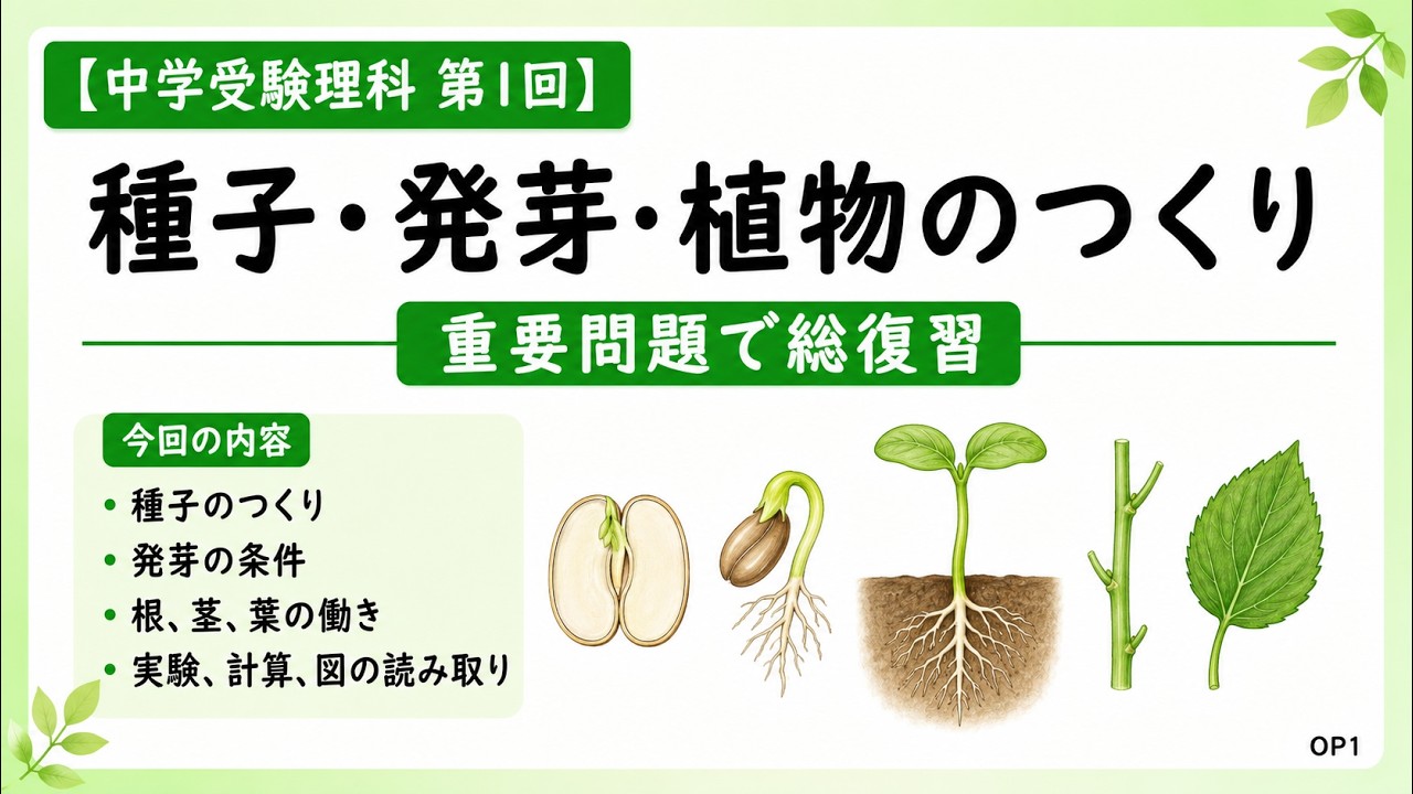Middle School Entrance Exam Science Part 1] Seeds, Germination