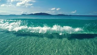 Sea waves and shells sounds ~ Relaxing 1 hours
