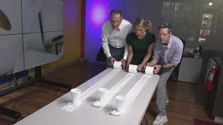 National Toilet Paper Day