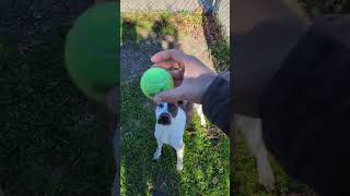 Shelter Sundays 1.18.25