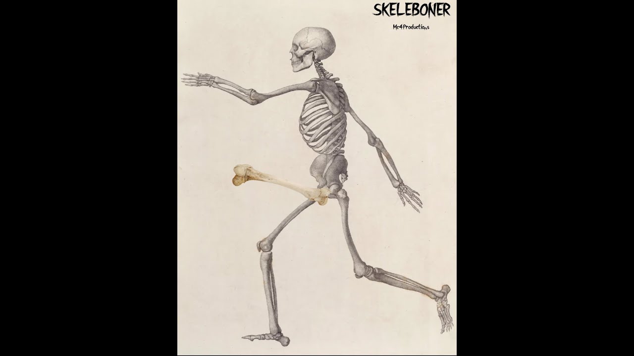 Skeleboner - YouTube