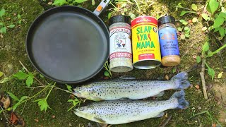 Eating Whatever We Catch while Fishing (Trout Edition)