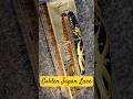 What fish would you catch with this lure? Golden Japanese Fishing Lure