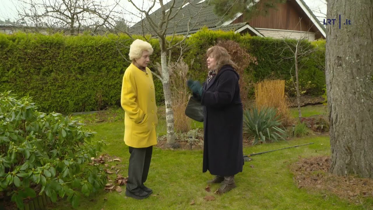 Dviračio žinios. Blinkevičiūtė Grybauskaitei: gal galėtumėte ištrinti tą feisbuko įrašą?