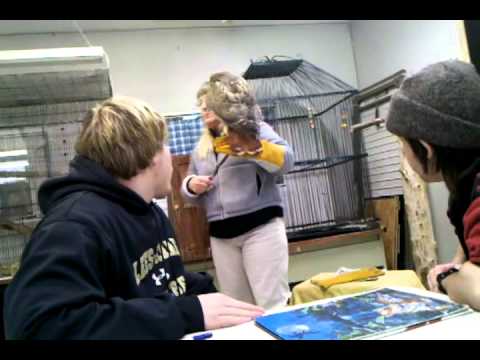 video phone beyonce mp3 Meet ladybird