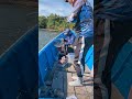 Strike ikan babon.joran sampai melengkung..