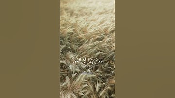 الشيخ بندر بليله | سورة الحجر #قرآن