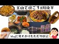 【韓国留学#2】世界一しょうもないvlog日記、〜明日から授業です〜