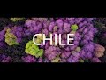 Chile , País único
