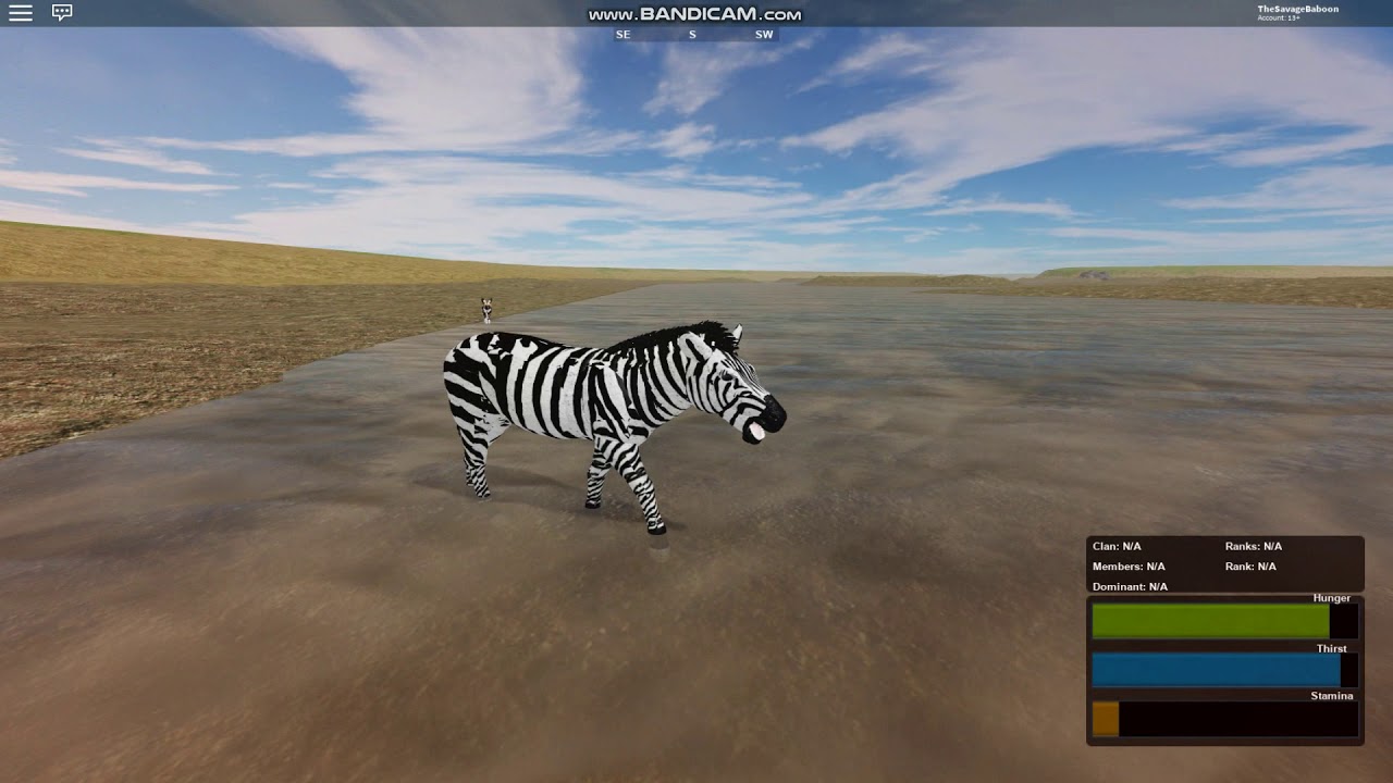 Release The Hound! | Roblox Testing A | African Wild Dog vs Zebra - YouTube