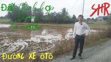 ✅Bán Đất Vùng Ven Thị Trấn Cần Giuộc QL50 thích hợp làm nhà Vườn | Nhà Đất Tân Kim |✅ Nhà Bình Chánh