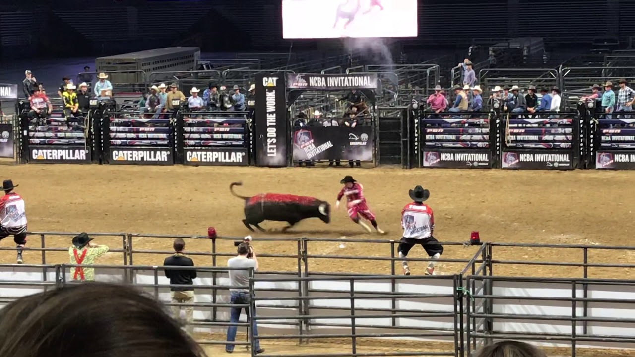 American Freestyle Bullfighting - Cade Gibson gets roughed up - 2/8/20