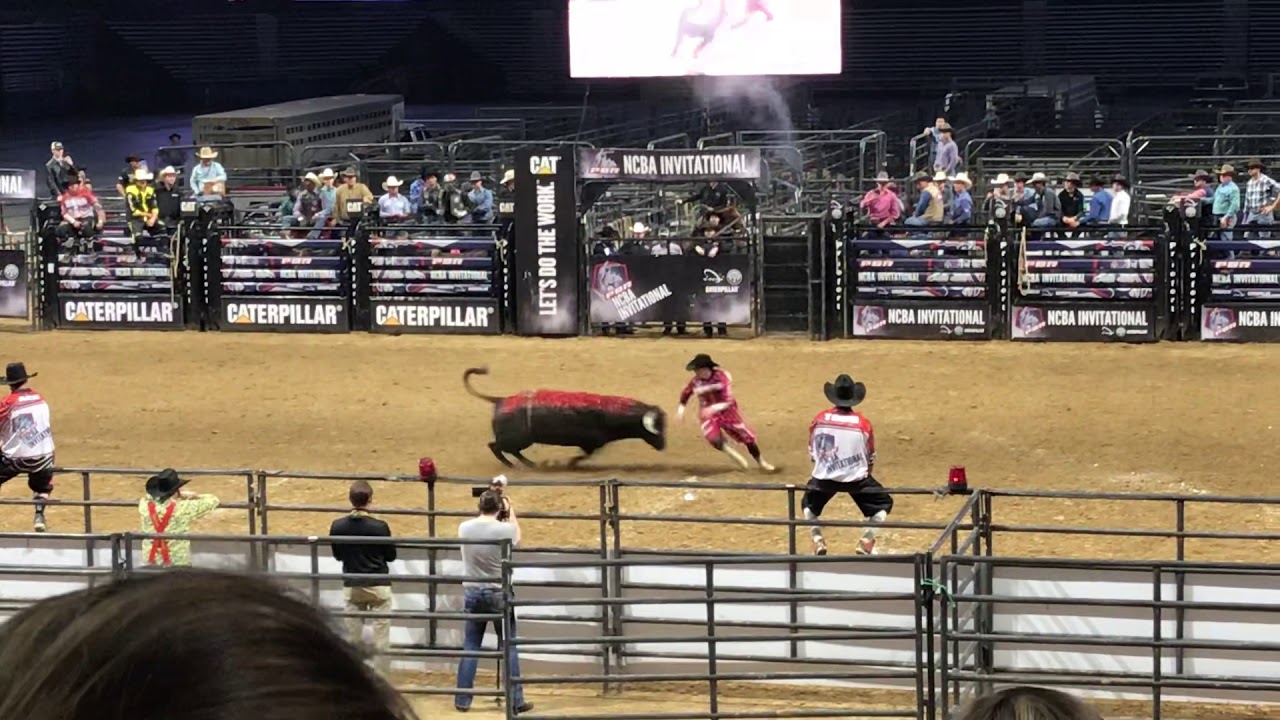 For Cade Gibson, bullfighting 'the best feeling there is', Sports