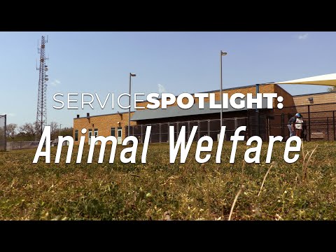 ServiceSPOTLIGHT: Animal Welfare