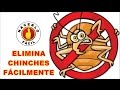 Chinches - Cómo Eliminar Chinches Fácilmente | Hacerlo Fácil