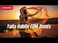 Habibi Arabic EDM Remix | Powerful Oriental EDM Drop (Desert Party Vibes)
