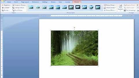 How to insert and Edit Images in Word 2007