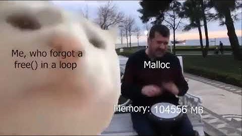 When you forget to free() in a malloc loop